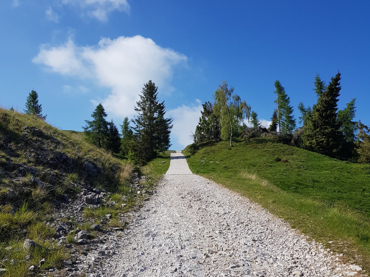 DAL NEVEGAL AL VISENTIN E RITORNO – IL SENTIERO DELLE&nbsp;CRESTE