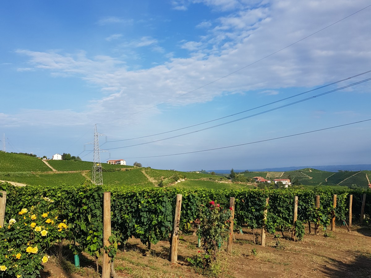 LANGHE – ROERO – MONFERRATO. TIPS PER SCOPRIRE I PAESI DI QUESTE COLLINE PATRIMONIO&nbsp;UNESCO