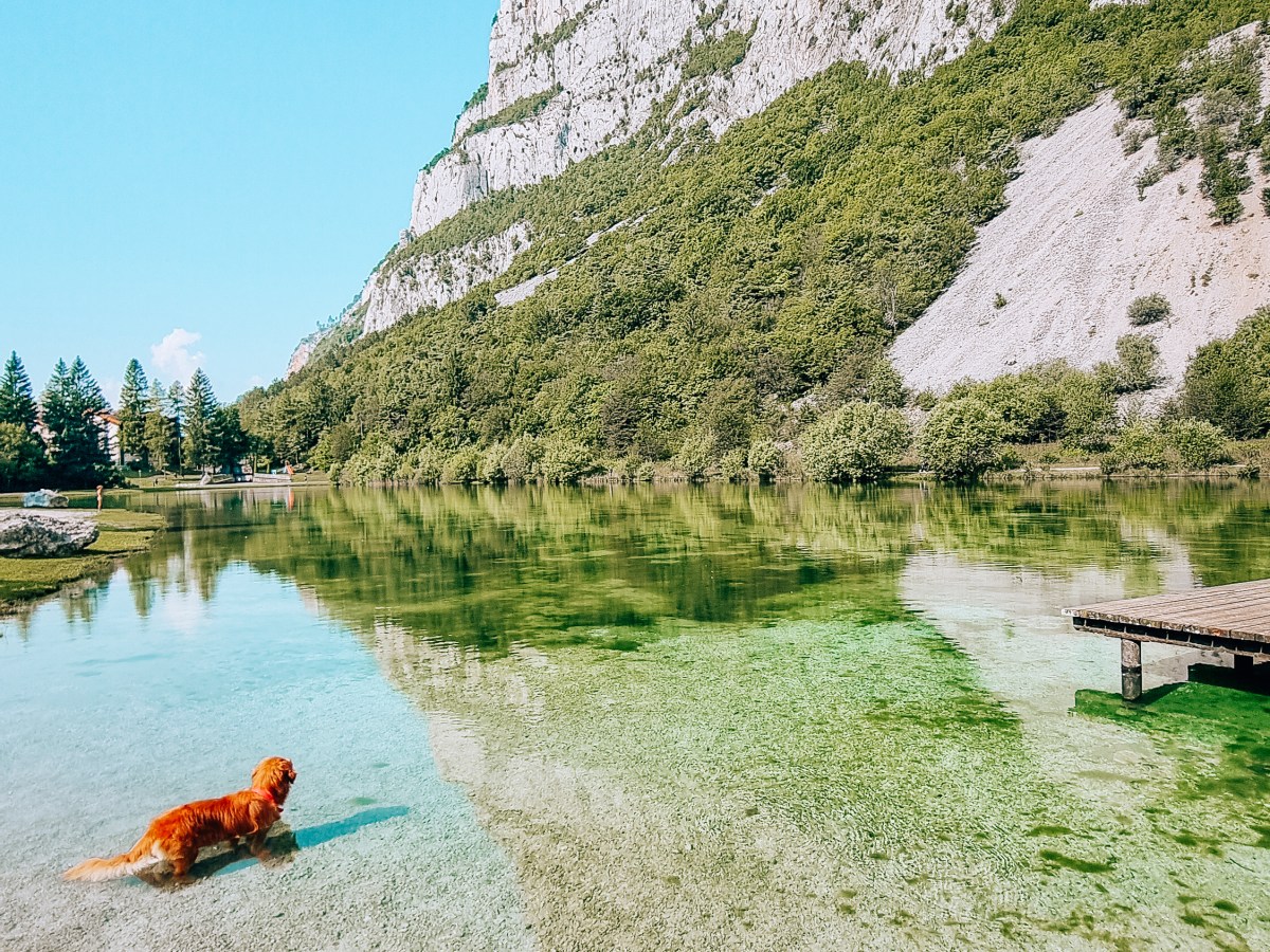 L’OASI DEL LAGO DI NEMBIA – INFO UTILI E&nbsp;PASSEGGIATE